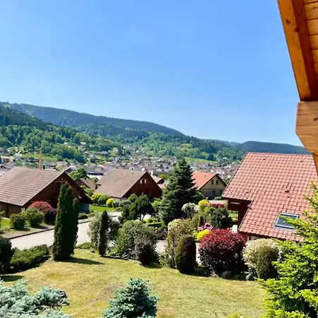 Ideal! A Vacation Just For You! Chalet Gerardmer